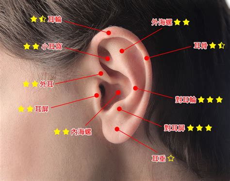 耳骨打耳洞 活動式隔屏